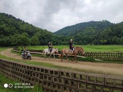 -石燕湖生态旅游景区