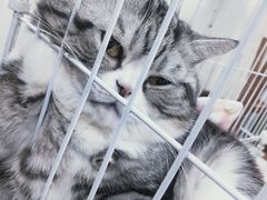 -正阳春烤鸭店(杨楼店)