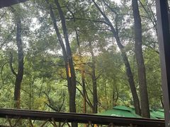 -巴倒烫陆派火锅山庄(南山总店)