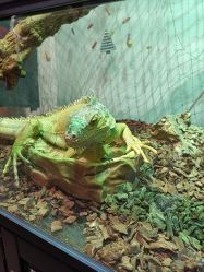 -Zoolung Zoolung动物主题公园(海信广场店)