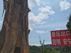 -云南野生动物园