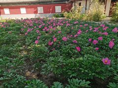 -盛世南宫影视城(北普陀影视城)
