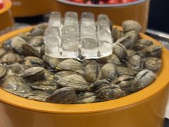 -龍歌自助小火锅(秦淮水游城店)