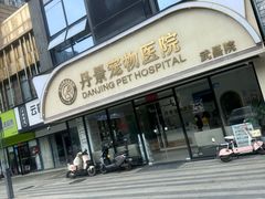 -丹景宠物医院·全科·老年病·牙科(武昌诊疗中心)