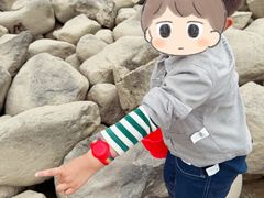 -吴淞炮台湾湿地森林公园烧烤区