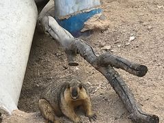 -泉州海丝野生动物世界