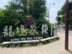 -龙坞茶村