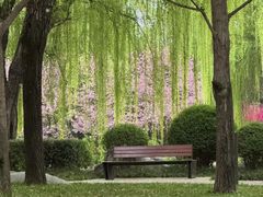 -唐城墙遗址公园