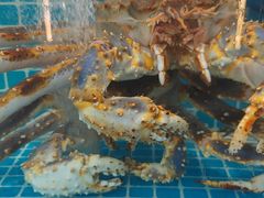 -本达人海鲜烧烤·朝鲜族风味(发展店)