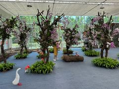 -上海鲜花港