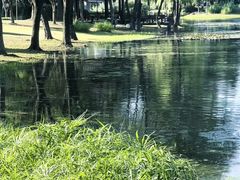 -长广溪湿地公园