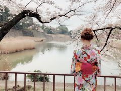 -名古屋城