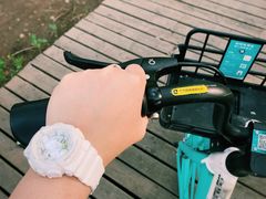 -长白岛森林公园