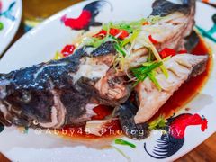 清蒸龙胆-聪辉同安老美食饭店(大元路店)