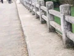 -明仕田园