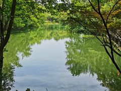 -白马涧龙池景区