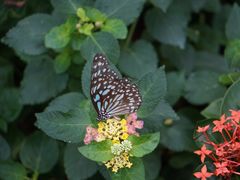 -上海动物园(地铁站)