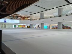 -TheRink大零溜冰场(IFS国金中心店)