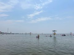 -碧海金沙