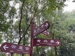 -MAMACHA妈妈茶(岳麓山店)
