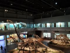 -自贡恐龙博物馆