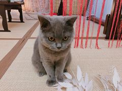 -第三空间·趣味桌游·轰趴.室内CS.剧本杀(大武汉1911店)