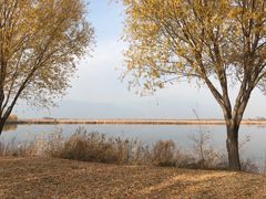 景点-野鸭湖国家湿地公园
