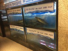 -舒来喜鱼锅(伊河路店)