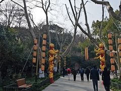 -杭州黄龙洞
