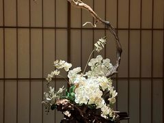 -本源食集 日式烧肉·炉端烧(东海缤纷店)