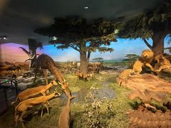 -国家自然博物馆