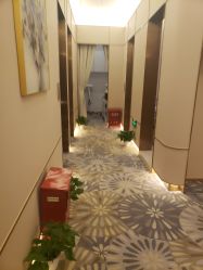 -美丽田园