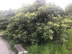 -长广溪湿地公园