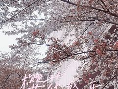 -王興記(中山路店)