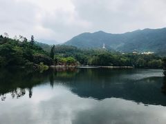 -红色湘菜馆(春风店)