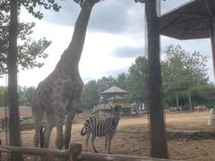 -大连森林动物园