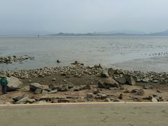 -深圳湾公园(南山区)
