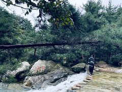 -无染寺
