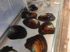 -十八字金·银饰·拼豆·开蚌DIY(魏公芳华里店)