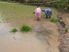 -高荡千年布依古寨旅游景区