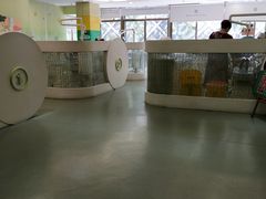 -温州牙科医院