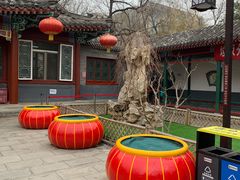 -宣武艺园