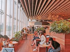 -Seesaw Coffee(朝阳大悦城店)