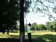 -汉长安城未央宫国家考古遗址公园