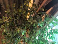 -爱碗亭·鲜炒湖南菜(壹城中心店)