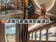 -蓬客精品酒店(深圳湾万象城店)