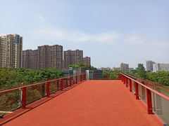 -都喜天丽富都青枫苑酒店-青枫小筑