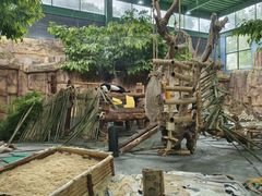 -泉州海丝野生动物世界