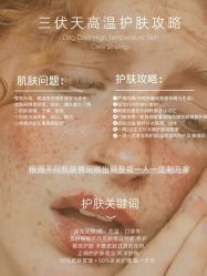 -凡碧诗毛孔清洁收细