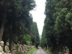-武陵山森林公园